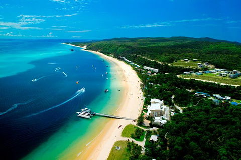 Tangalooma Island Resort Whale Watching Day Cruise - Accommodation Tasmania 2