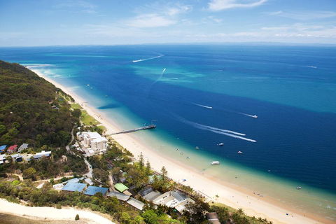 Tangalooma Island Resort Whale Watching Day Cruise With Dolphin Feeding - Accommodation Tasmania 2