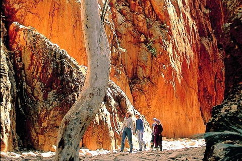 West MacDonnell Ranges Day Trip From Alice Springs - Accommodation Tasmania 3