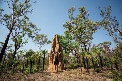 Litchfield National Park - Top End Day Tour From Darwin - Accommodation Tasmania 5