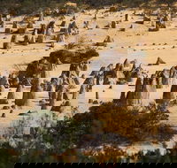 Pinnacles Sunset Dinner and Stargazing Experience a Small Group Tour - Accommodation Tasmania