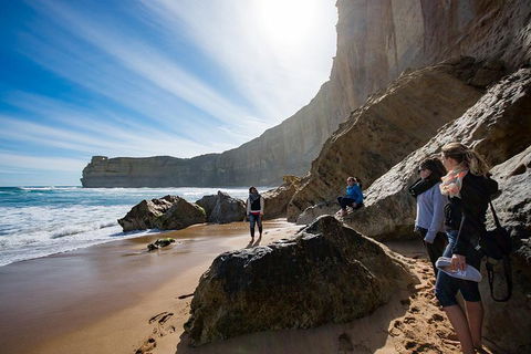 2-Day Melbourne To Adelaide Tour: Great Ocean Road And Grampians One Way Trip - Accommodation Tasmania 1
