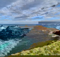 Small-Group Phillip Island Day Trip from Melbourne with Penguin Plus Viewing - Accommodation Tasmania