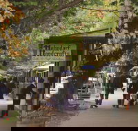 Adelaide Highlights Hahndorf  McLaren Vale Wine Tasting and Sightseeing Tour - Accommodation Tasmania