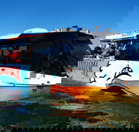 Paradise Jet Boating and Aquaduck Combo - Accommodation Tasmania