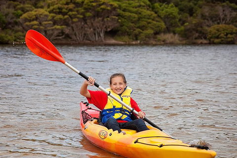 Kangaroo Island Self-Guided Kayaking On The Harriet River - Accommodation Tasmania 1