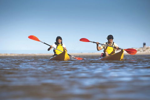 Kangaroo Island Self-Guided Kayaking On The Harriet River - Accommodation Tasmania 2