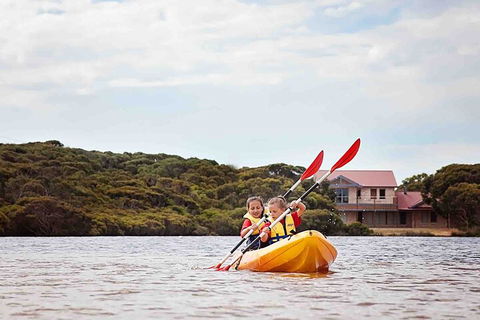 Kangaroo Island Self-Guided Kayaking On The Harriet River - Accommodation Tasmania 3