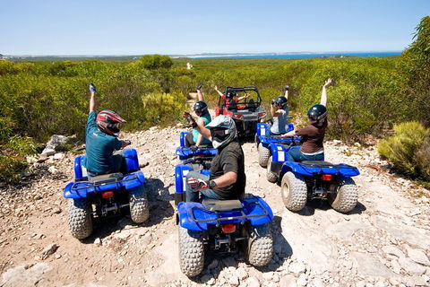 Kangaroo Island Quad Bike (ATV) Tours - Accommodation Tasmania 3
