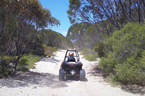 Kangaroo Island Quad Bike (ATV) Tours - Accommodation Tasmania 4