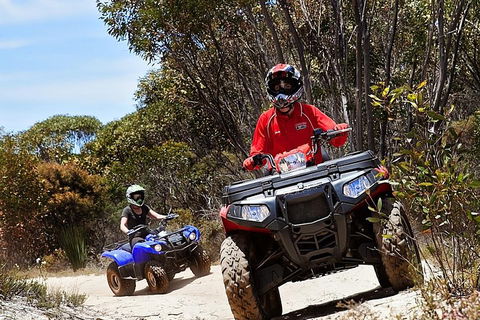 Kangaroo Island Quad Bike (ATV) Tours - Accommodation Tasmania 5