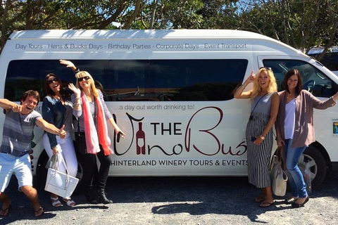 Mount Tamborine Wine Tasting Tour From Brisbane Or The Gold Coast - Accommodation Tasmania 0
