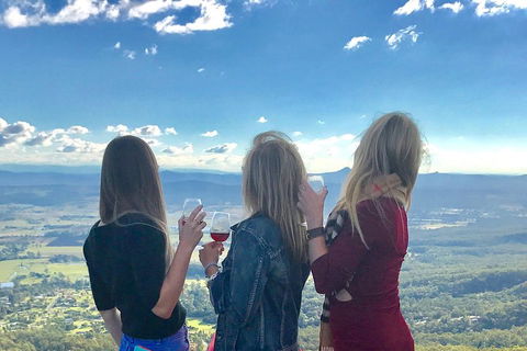 Mount Tamborine Wine Tasting Tour From Brisbane Or The Gold Coast - Accommodation Tasmania 1
