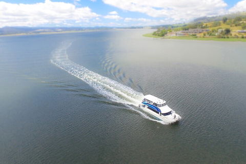 2.5 Hour Afternoon Discovery Cruise Including Cataract Gorge Departs At 1: 30 Pm - Accommodation Tasmania 0