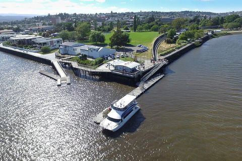 2.5 Hour Afternoon Discovery Cruise Including Cataract Gorge Departs At 1: 30 Pm - Accommodation Tasmania 3