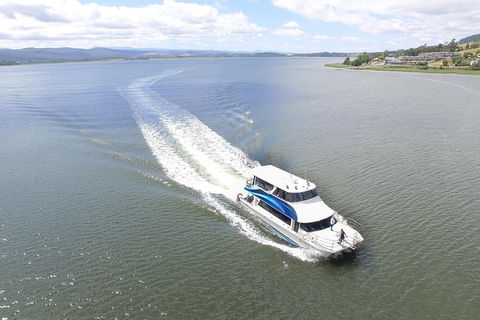 2.5 Hour Afternoon Discovery Cruise Including Cataract Gorge Departs At 1: 30 Pm - Accommodation Tasmania 4