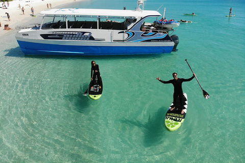 Whitsunday Bullet Day Trip - Whitehaven Beach And Snorkelling - Accommodation Tasmania 4