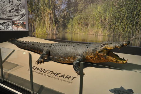 Explore Darwin City Sights Including Key Attractions - Accommodation Tasmania 2