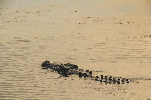 Yellow Water Cruise - Kakadu - Accommodation Tasmania 2