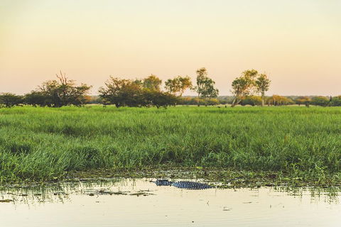 Yellow Water Cruise - Kakadu - Accommodation Tasmania 3