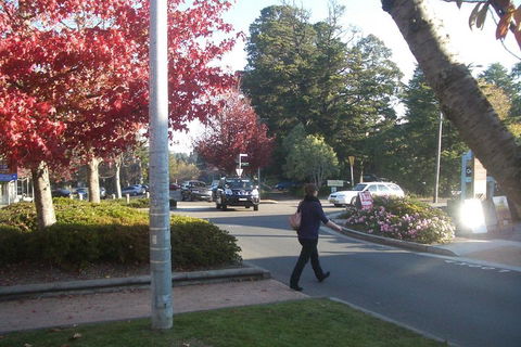 PRIVATE All-Day Blue Mountains Tour With Professional Guide For Up To 4 People - Accommodation Tasmania 1
