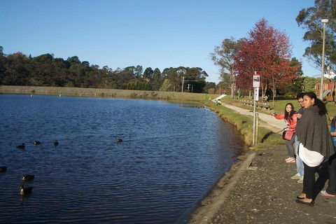PRIVATE All-Day Blue Mountains Tour With Professional Guide For Up To 4 People - Accommodation Tasmania 2
