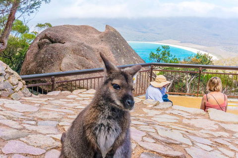Wineglass Bay & Freycinet NP Full Day Tour From Hobart Via Richmond Village - Accommodation Tasmania 0