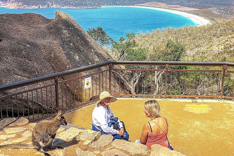Wineglass Bay & Freycinet NP Full Day Tour From Hobart Via Richmond Village - Accommodation Tasmania 1