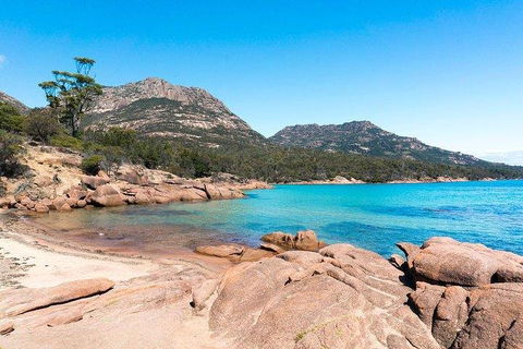 Wineglass Bay & Freycinet NP Full Day Tour From Hobart Via Richmond Village - Accommodation Tasmania 5