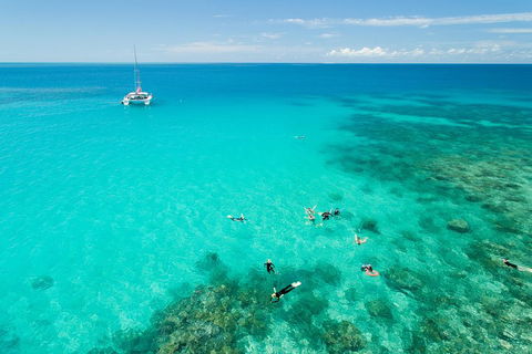 Full-Day Great Barrier Reef Sailing Trip - Accommodation Tasmania 2