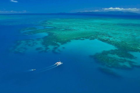 Full-Day Great Barrier Reef Sailing Trip - Accommodation Tasmania 3