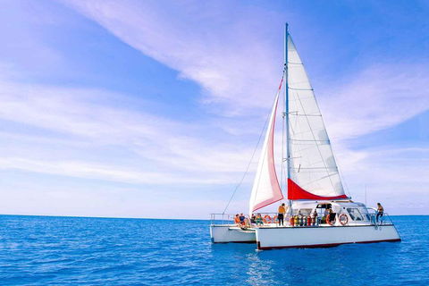 Full-Day Great Barrier Reef Sailing Trip - Accommodation Tasmania 4