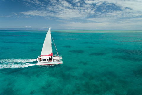 Full-Day Great Barrier Reef Sailing Trip - Accommodation Tasmania 5