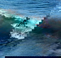 Great Ocean Road Highlights Tour - 2 Days 1 Night - Accommodation Tasmania