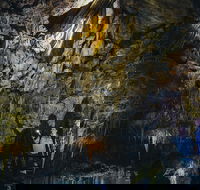 Ngilgi Cave Semi-guided Tour - Accommodation Tasmania