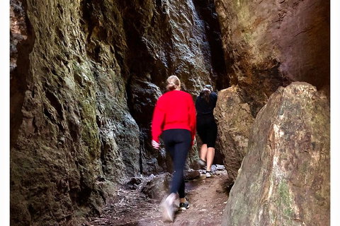 Exclusive Private Tour - Design Your Own - Accommodation Tasmania 4