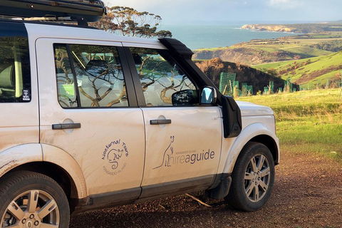 Kangaroo Island 4WD Tour - Best Of KI In 2 Days - Accommodation Tasmania 4
