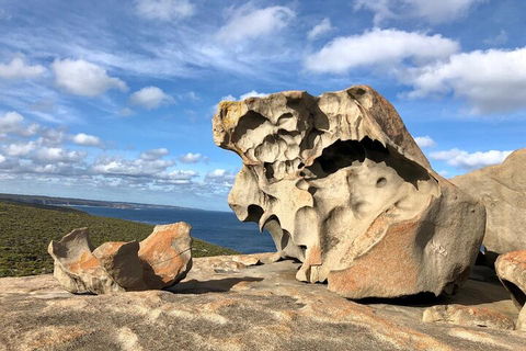 Kangaroo Island 4WD Tour - Best Of KI In 2 Days - Accommodation Tasmania 5