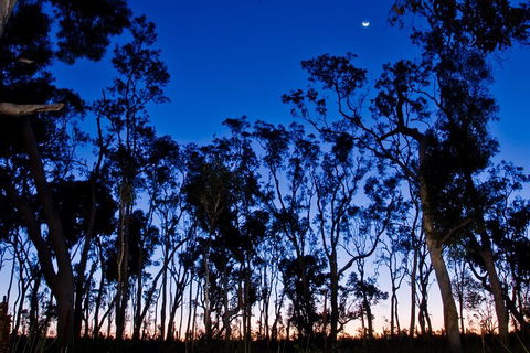 Small-Group Kangaroo Island 4WD Night Tour - Accommodation Tasmania 2