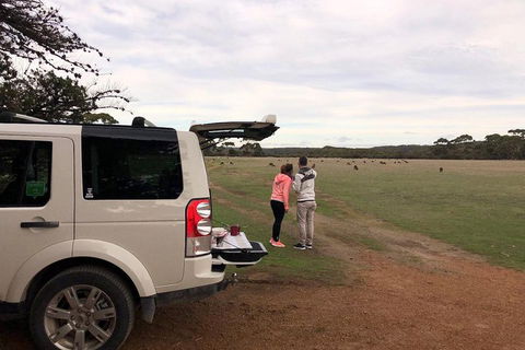 Kangaroo Island 4WD Tour - Flinders Chase - Accommodation Tasmania 3