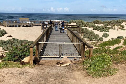 Kangaroo Island 4WD Tour - Best Of KI - Accommodation Tasmania 2