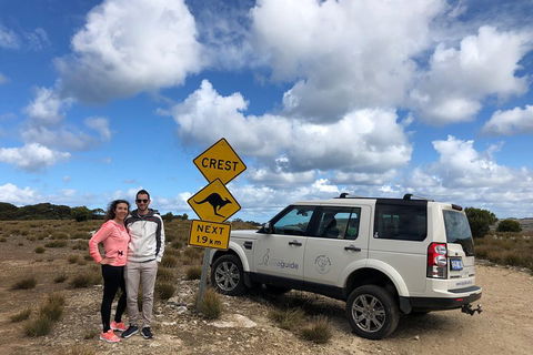 Kangaroo Island 4WD Tour - Best Of KI - Accommodation Tasmania 5