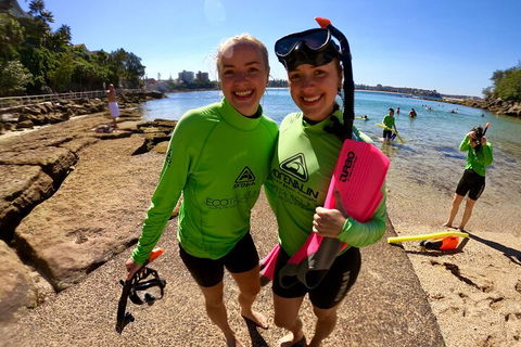 Manly Snorkel Trip And Nature Walk With Local Guide - Accommodation Tasmania 1