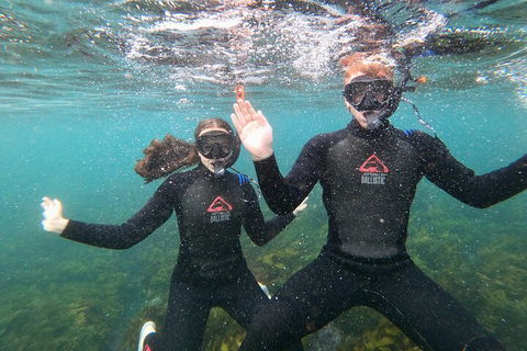 Manly Snorkel Trip And Nature Walk With Local Guide - Accommodation Tasmania 3