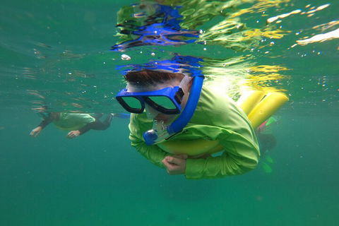 Manly Snorkel Trip And Nature Walk With Local Guide - Accommodation Tasmania 5