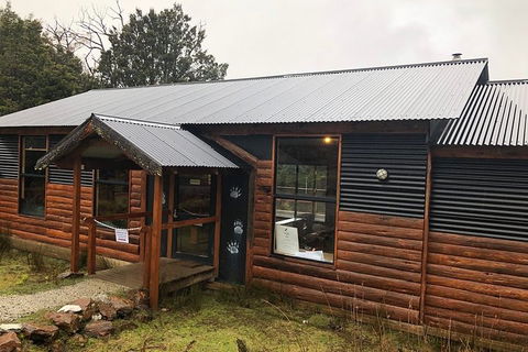 After Dark Tasmanian Devil Feeding Tour At Cradle Mountain - Accommodation Tasmania 3