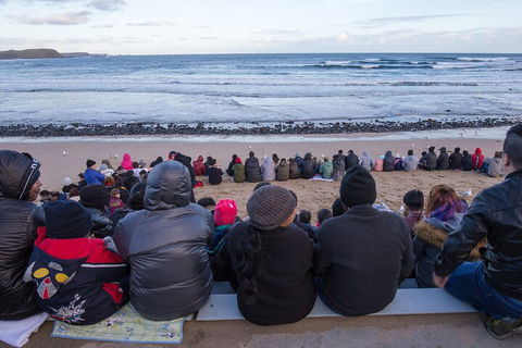 Healesville Sanctuary And Phillip Island Wildlife Bus Tour - Accommodation Tasmania 1