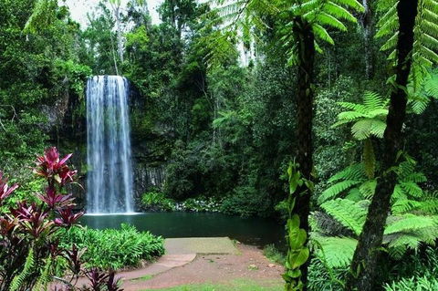 Paronella Park And Millaa Millaa Falls Full-day Tour From Cairns - Accommodation Tasmania 3