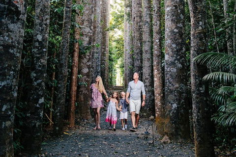 Paronella Park And Millaa Millaa Falls Full-day Tour From Cairns - Accommodation Tasmania 5
