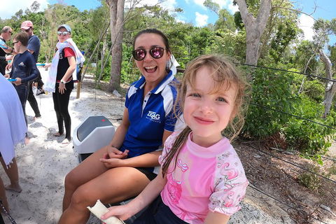 Whitehaven Beach Day Tour With Snorkel In Whitsundays Island - Accommodation Tasmania 1